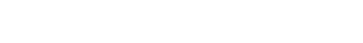Carolina Hurricanes wordmark